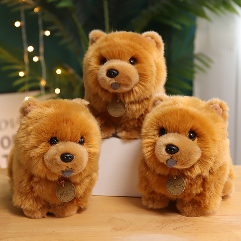 1pc-30cm-Kawaii-Fluffy-Chow-Chow-Plush-Toy-Cute-Lifelike-Puppy-Dog-Doll-Soft-Toys-Birthday-1