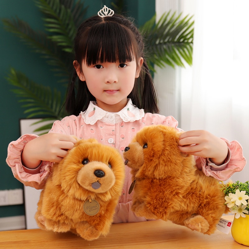 1pc-30cm-Kawaii-Fluffy-Chow-Chow-Plush-Toy-Cute-Lifelike-Puppy-Dog-Doll-Soft-Toys-Birthday-3