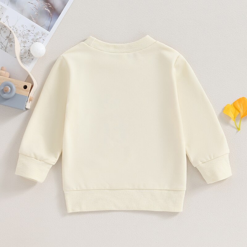 2023-07-31-Lioraitiin-12M-5T-Infant-Baby-Boys-Girls-Pullover-Long-Sleeve-Round-Neck-Print-3